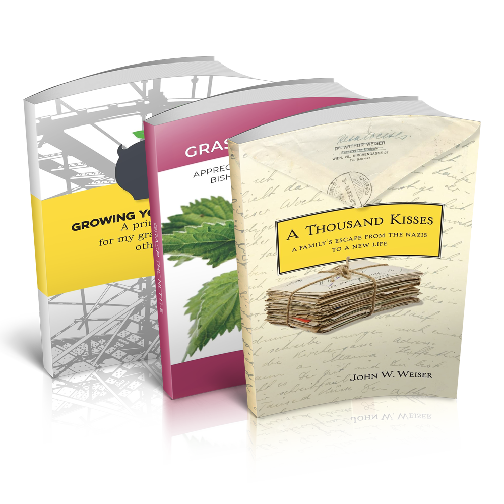 John-Weiser Boon Paperback